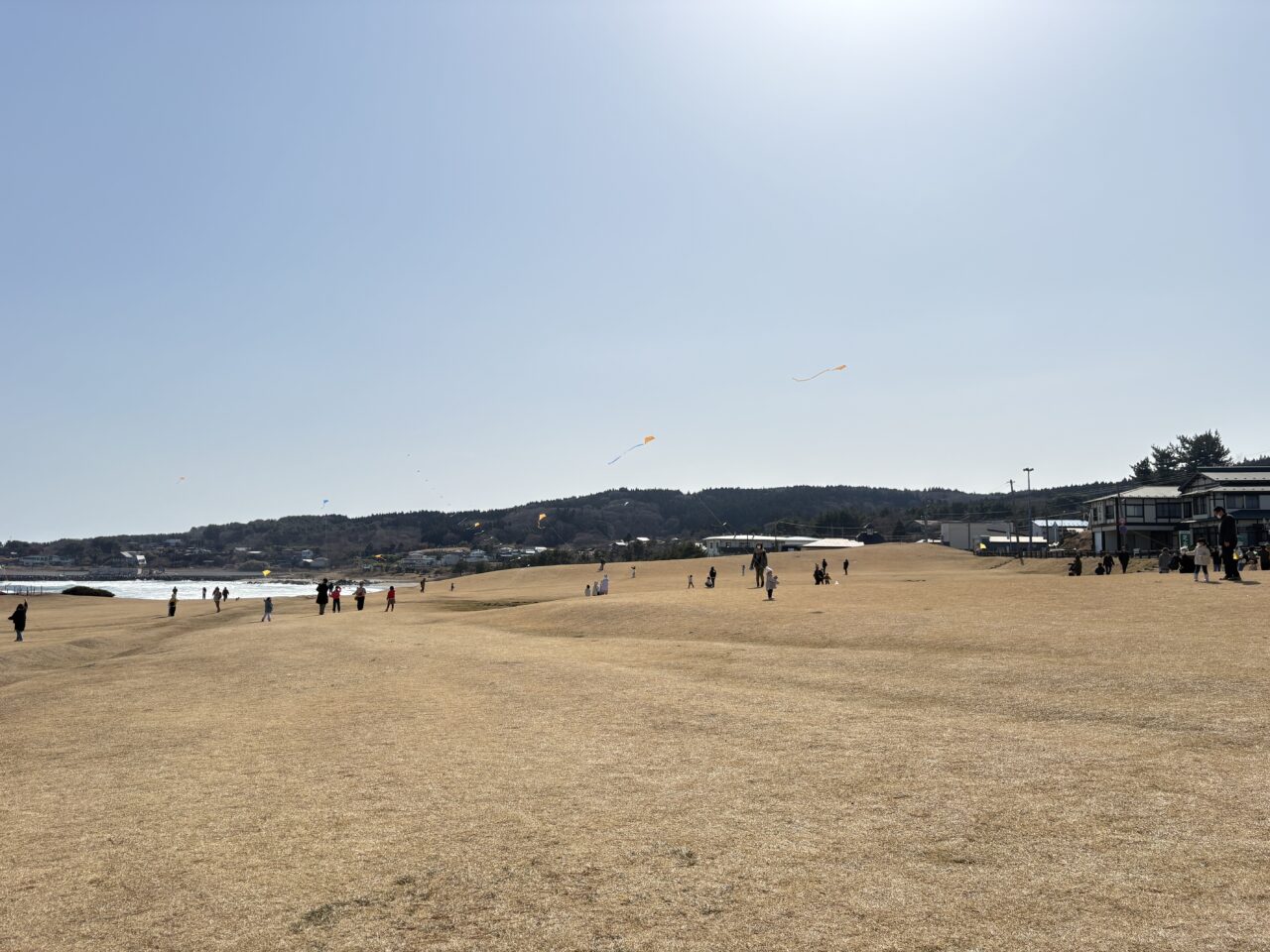 種差海岸で冬バルや棒パン焼き体験