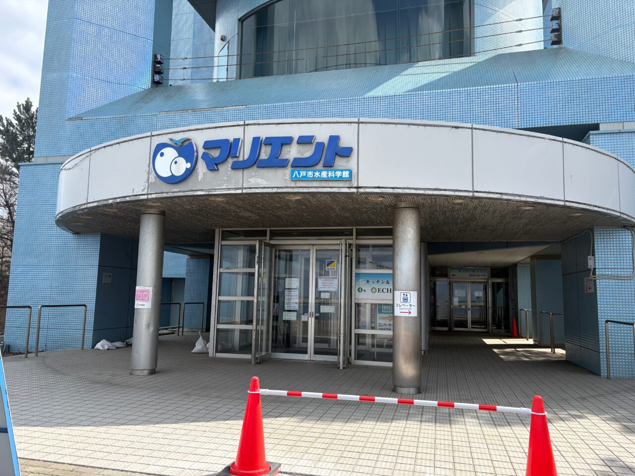 マリエントで無料ライブと夜のマリエント開催