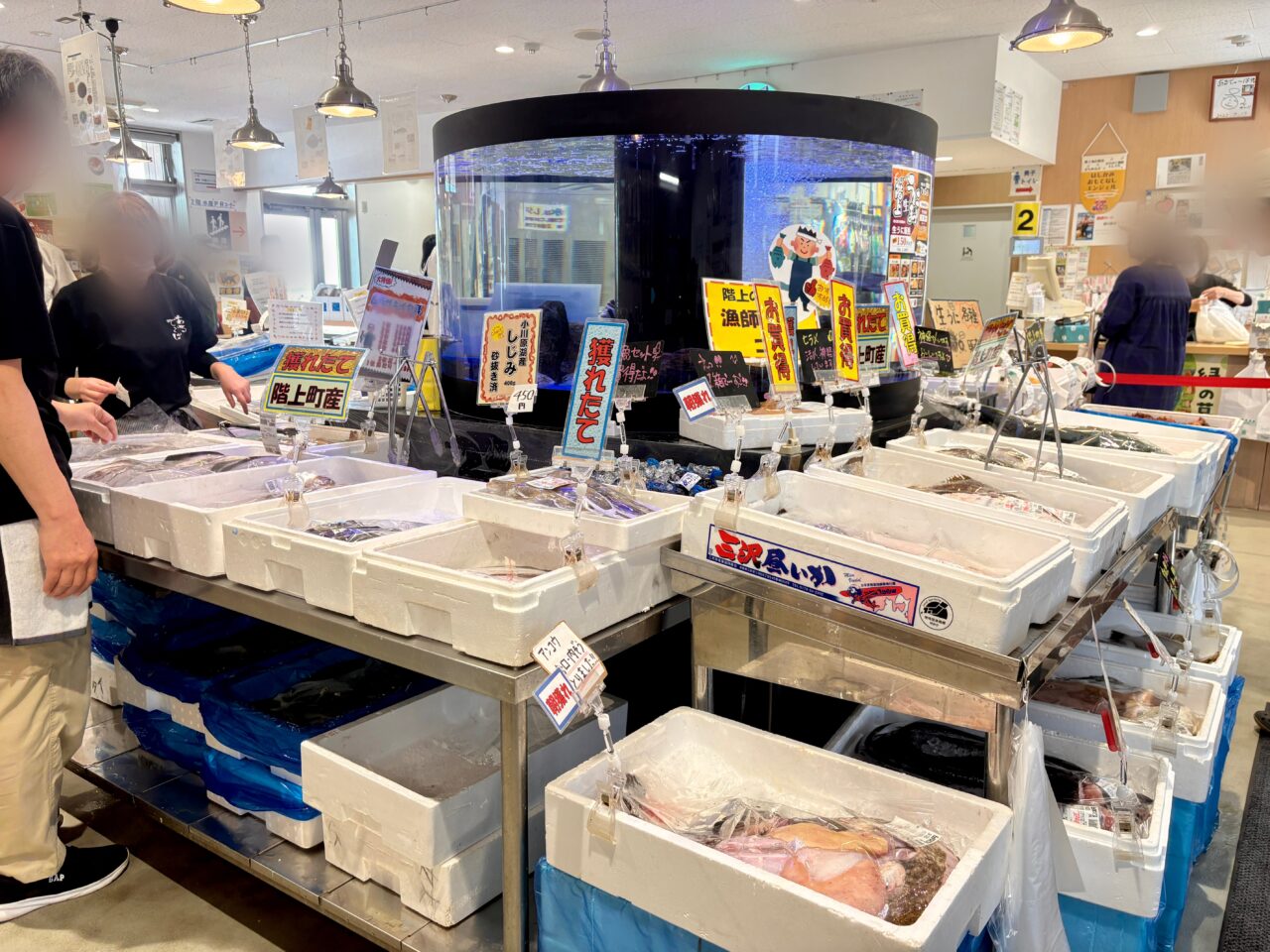 はしかみハマの駅 あるでぃ～ばの塩わかめソフト