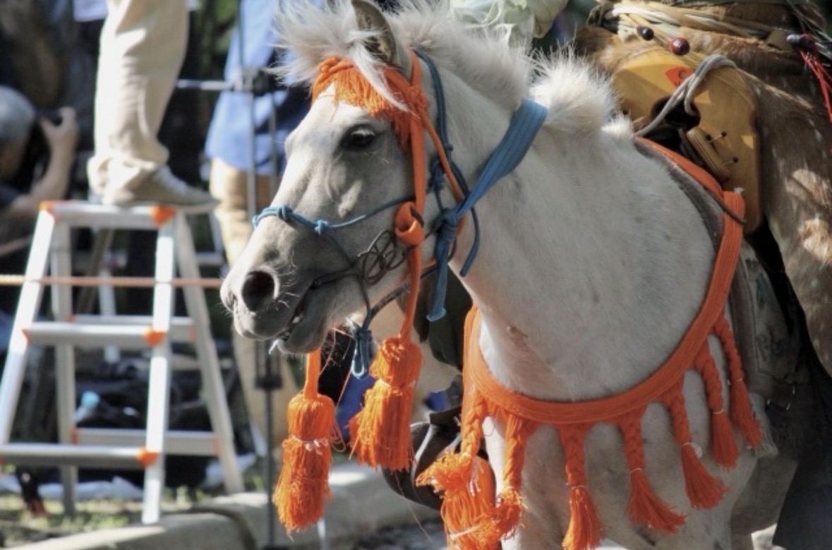 櫛引八幡宮で「第11回 全国スポーツ流鏑馬八戸大会」が開催予定